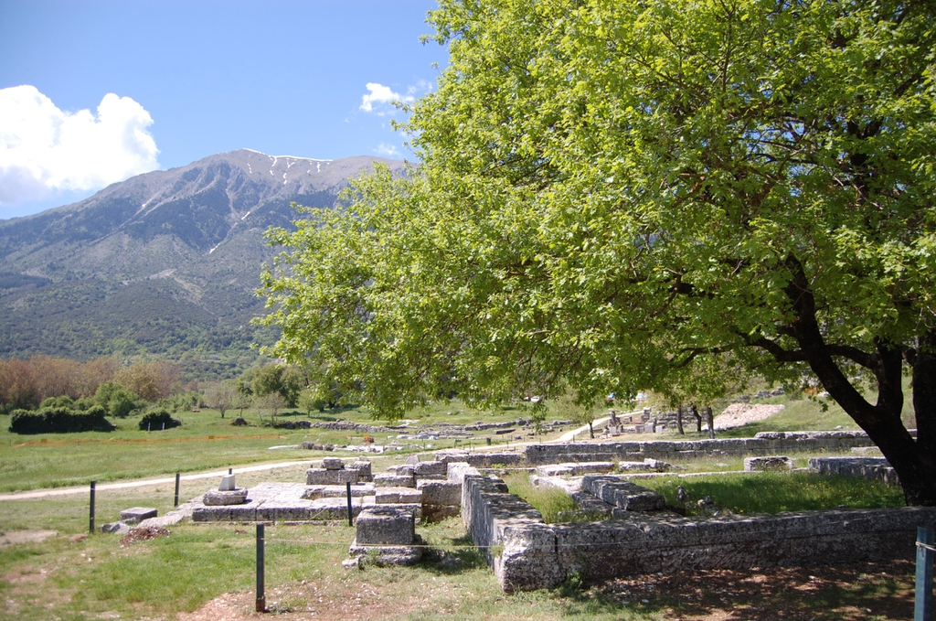 Photo: The Oracle of Zeus at Dodona